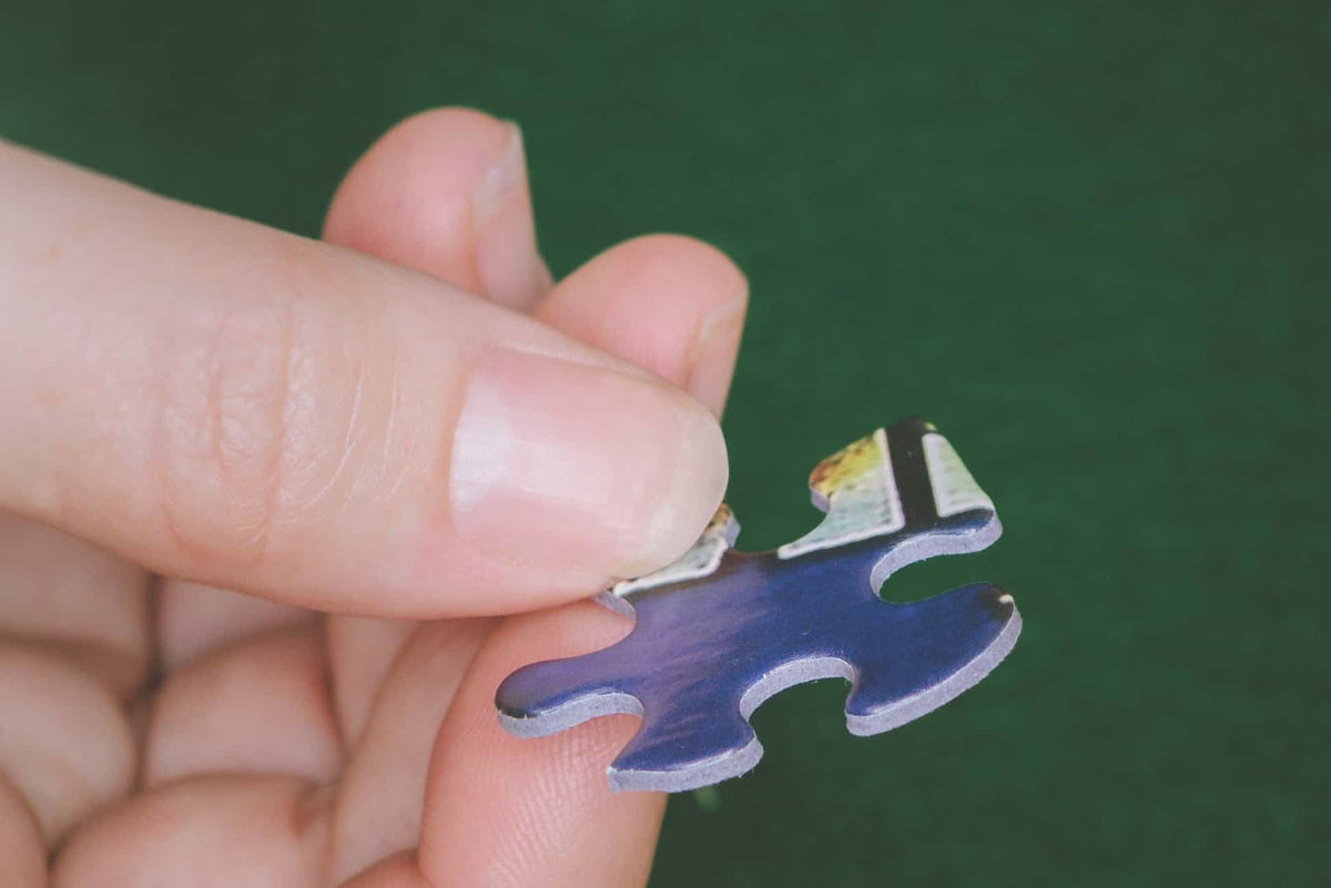 Best Places in Canada (1317pz) - 1000 Piece Jigsaw Puzzle