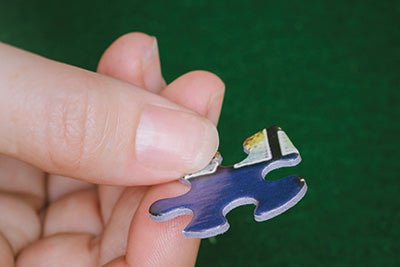 Beach House (1543pz) - 1000 Pieces